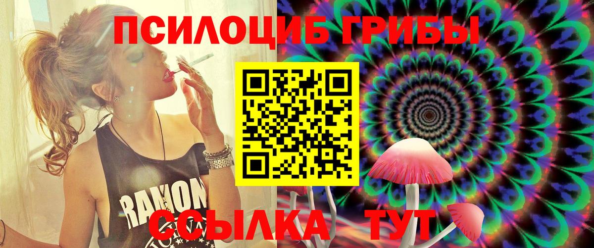 Назарово  Галлюциногенные грибы MAGIC MUSHROOMS  Псилоцибиновые грибы Psilocybine cubensis  Вход с VPN 