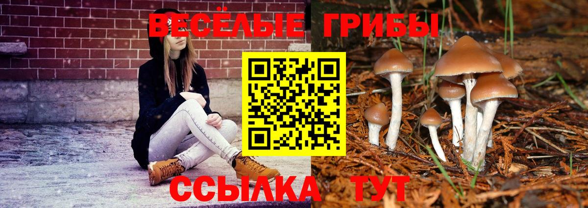 Галлюциногенные грибы Magic Shrooms Назарово