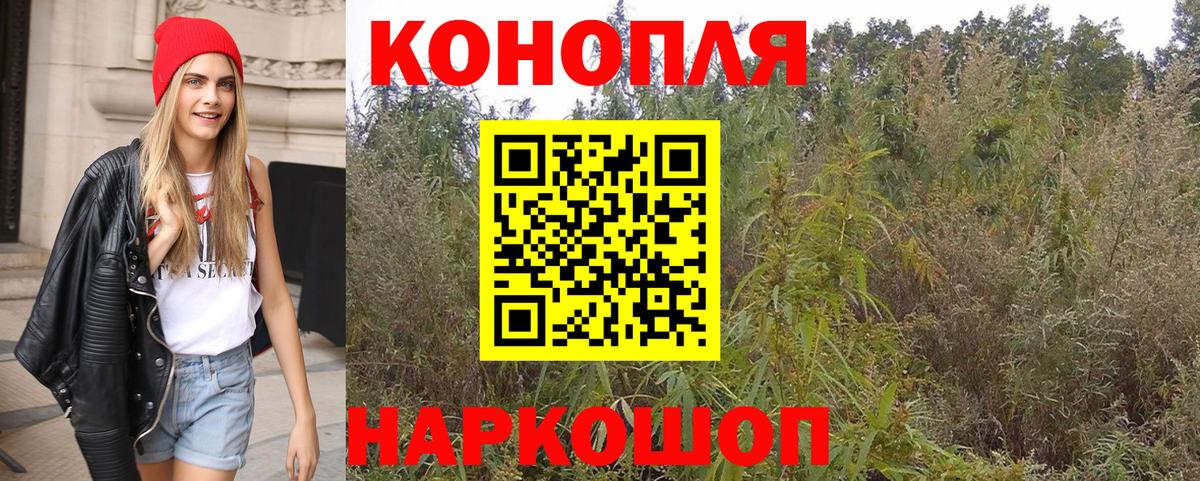 Конопля планчик  Каннабис THC 21%  Назарово  Вход с VPN  Бошки Шишки сатива  Марихуана Amnesia 